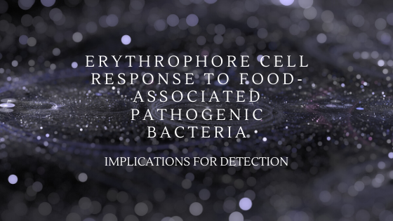 Erythrophore cell response to food‐associated pathogenic bacteria: implications for detection  